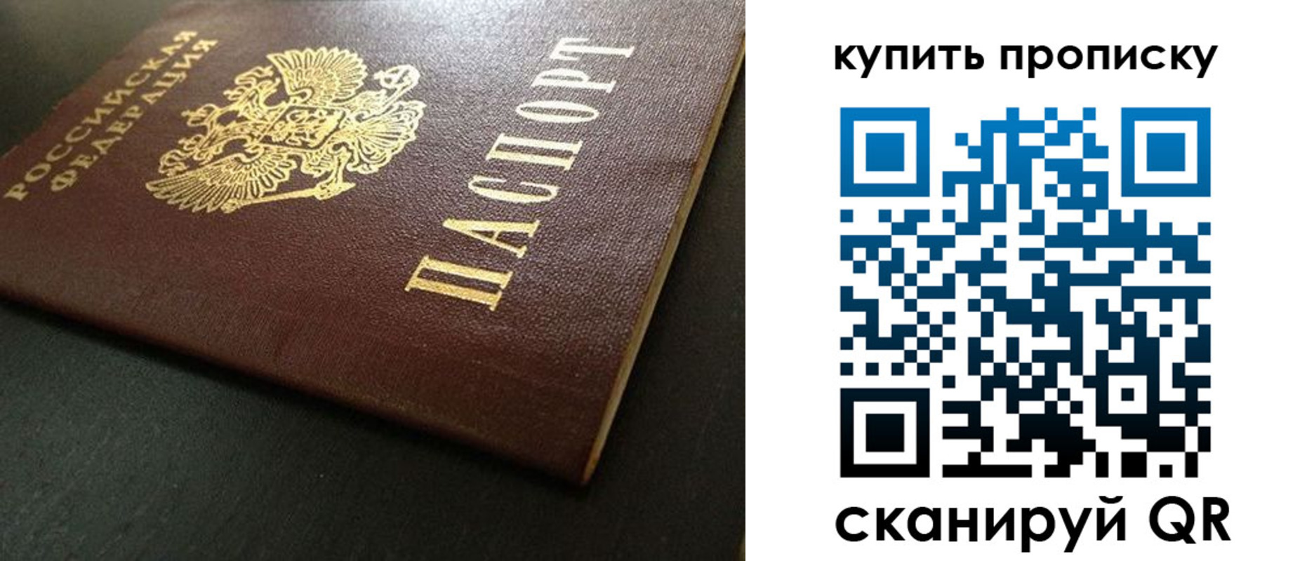прописка законно в Волосово